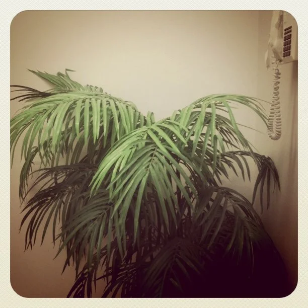 (Taken with instagram)