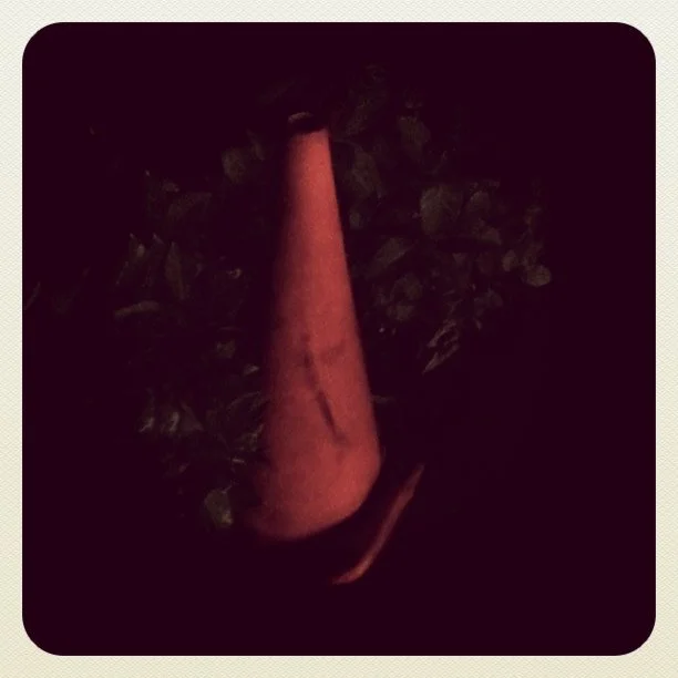 Taken with instagram