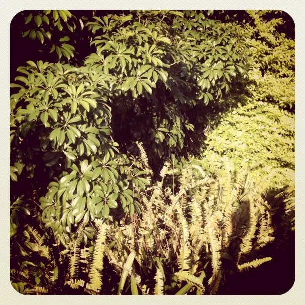 Taken with instagram