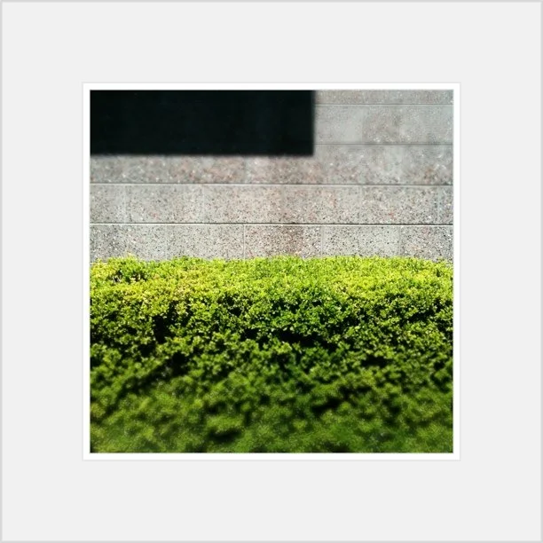 Taken with instagram