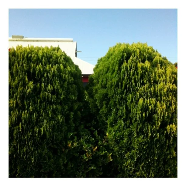 Taken with instagram