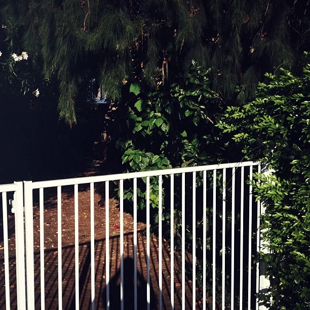 Avoca Beach #suburbia #mobilephotography  (Taken with instagram)