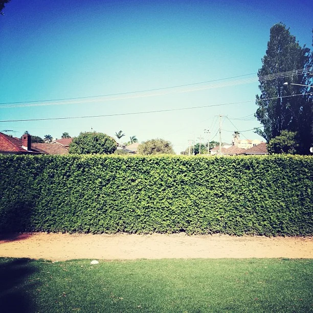 #suburbia  (Taken with instagram)