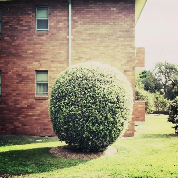 #suburbia #documentingspace #sydig  (Taken with instagram)