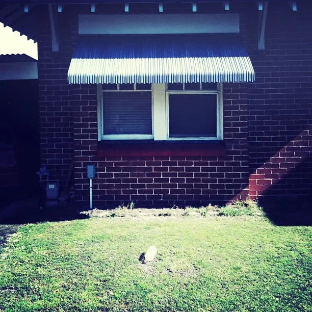 #suburbia #documentingspace #sydig  (Taken with instagram)