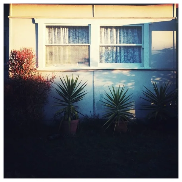 #suburbia  (Taken with instagram)