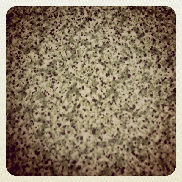 #seebelow (Taken with instagram)