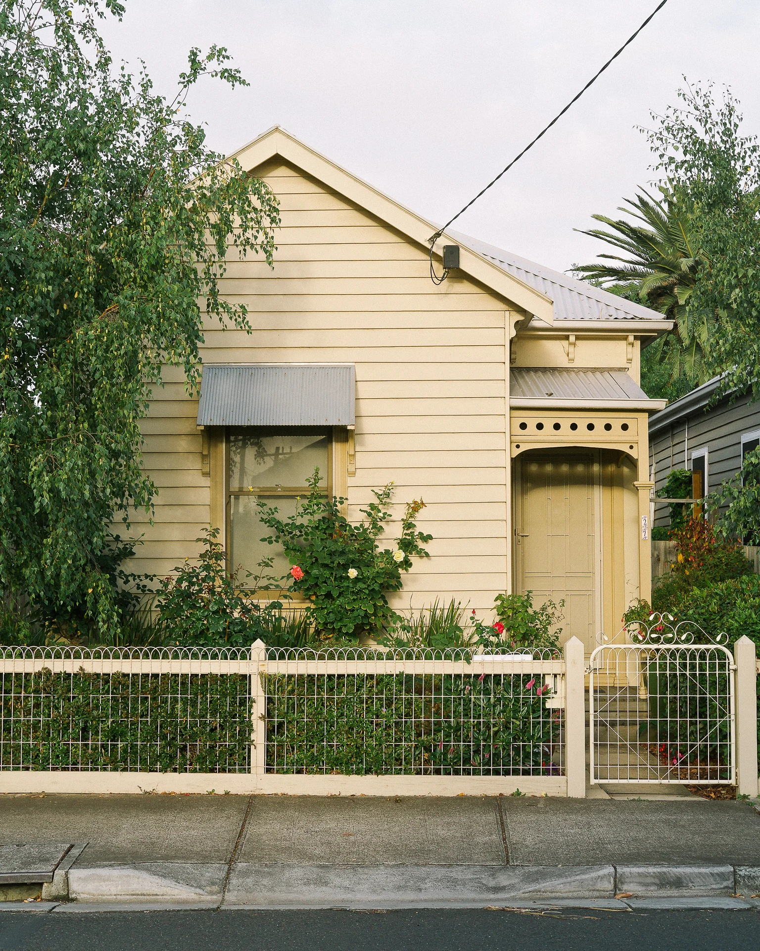 Suburbia-GeelongWest09.jpg