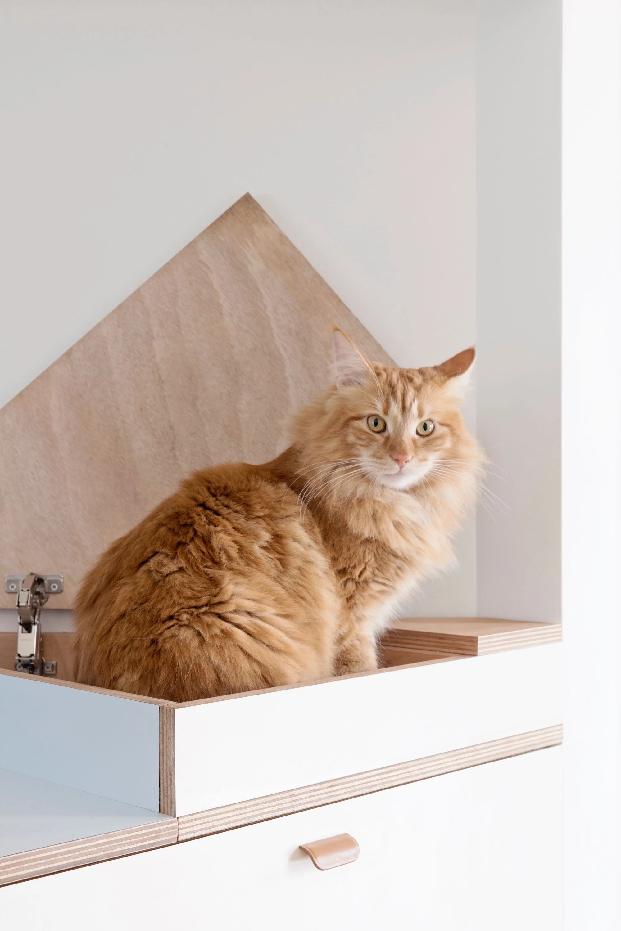 llabb_diagonale_2017