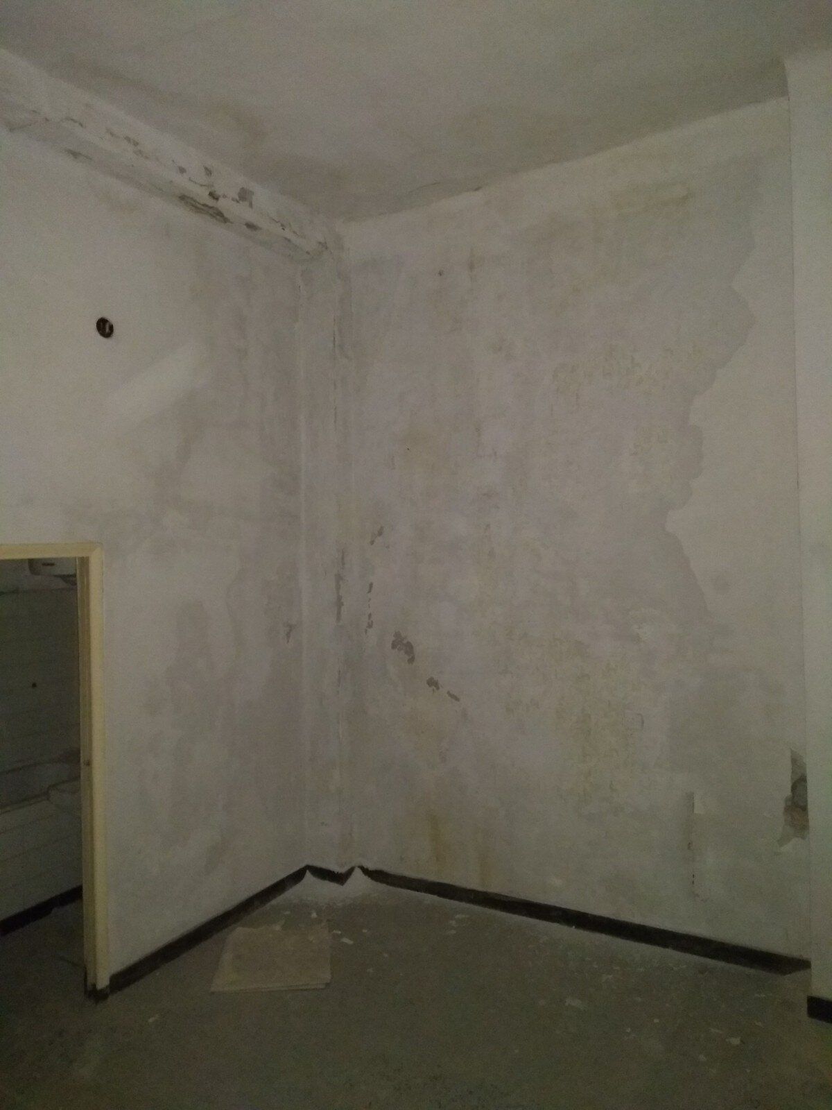 llabb_trogoletto_2018