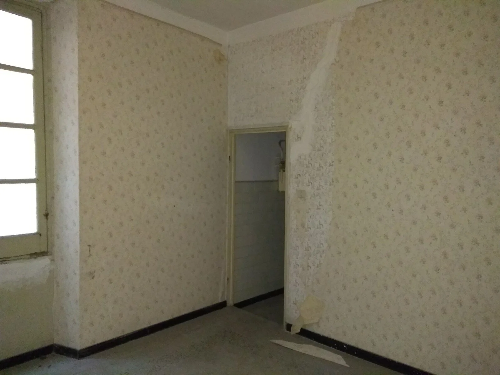 llabb_trogoletto_2018