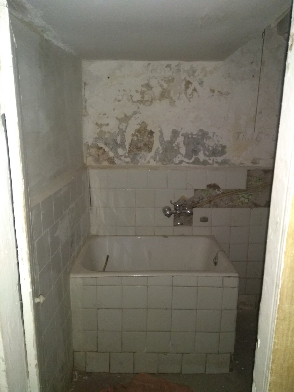 llabb_trogoletto_2018