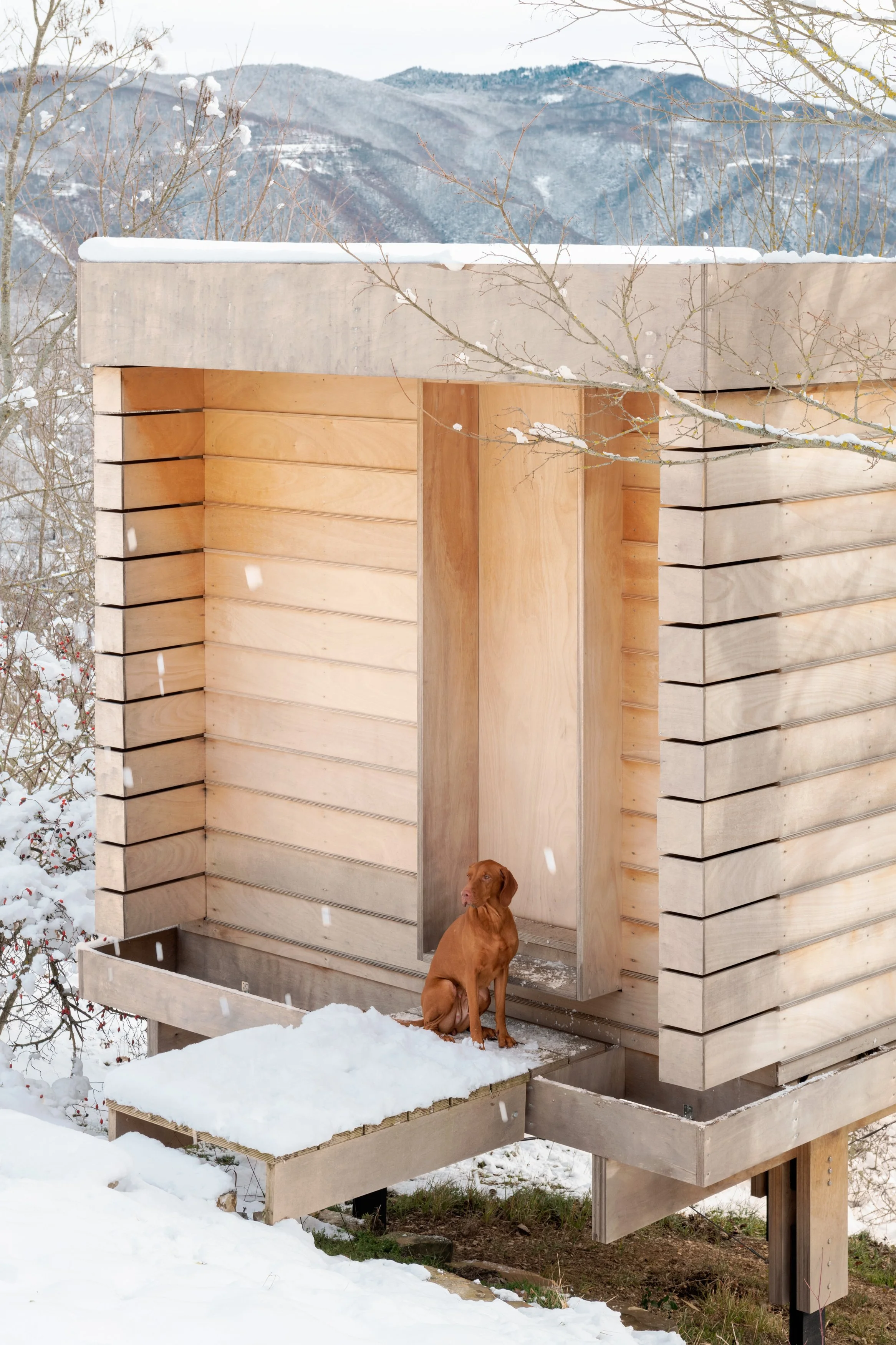 LLABB_cabin_DSC_7474.jpg