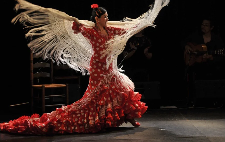 flamenco_05.jpg