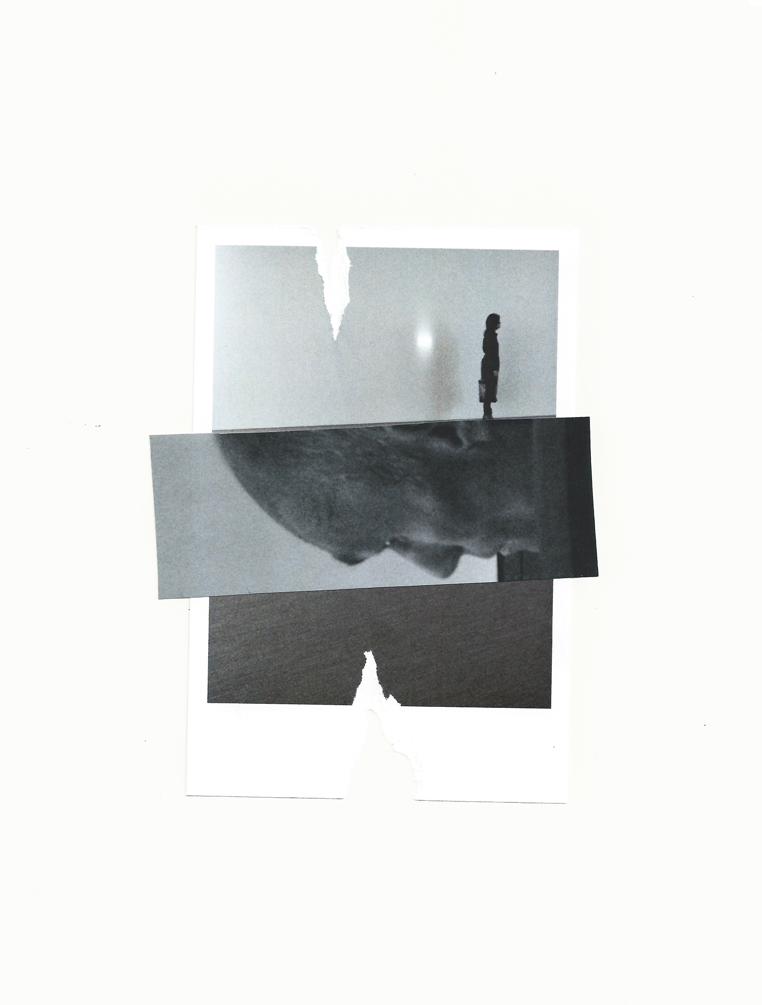Contingence n. 3, 2013