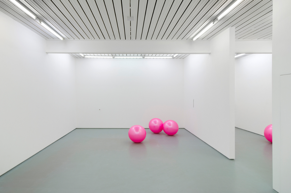 6 pink gym balls liberated from a lifetime of physical abuse, 2014