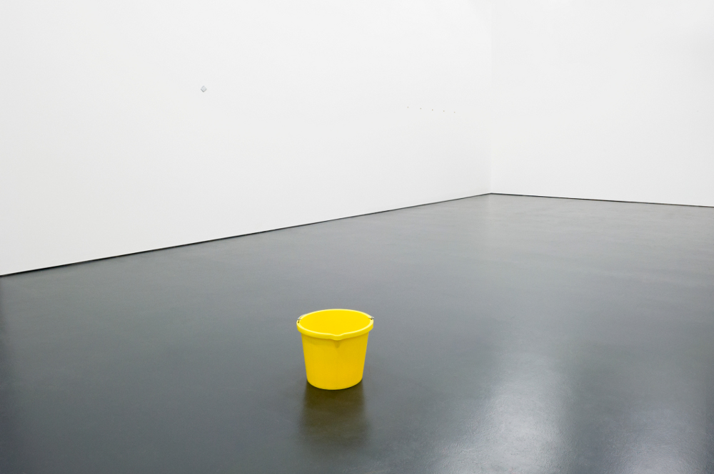 Pollen, 2013
