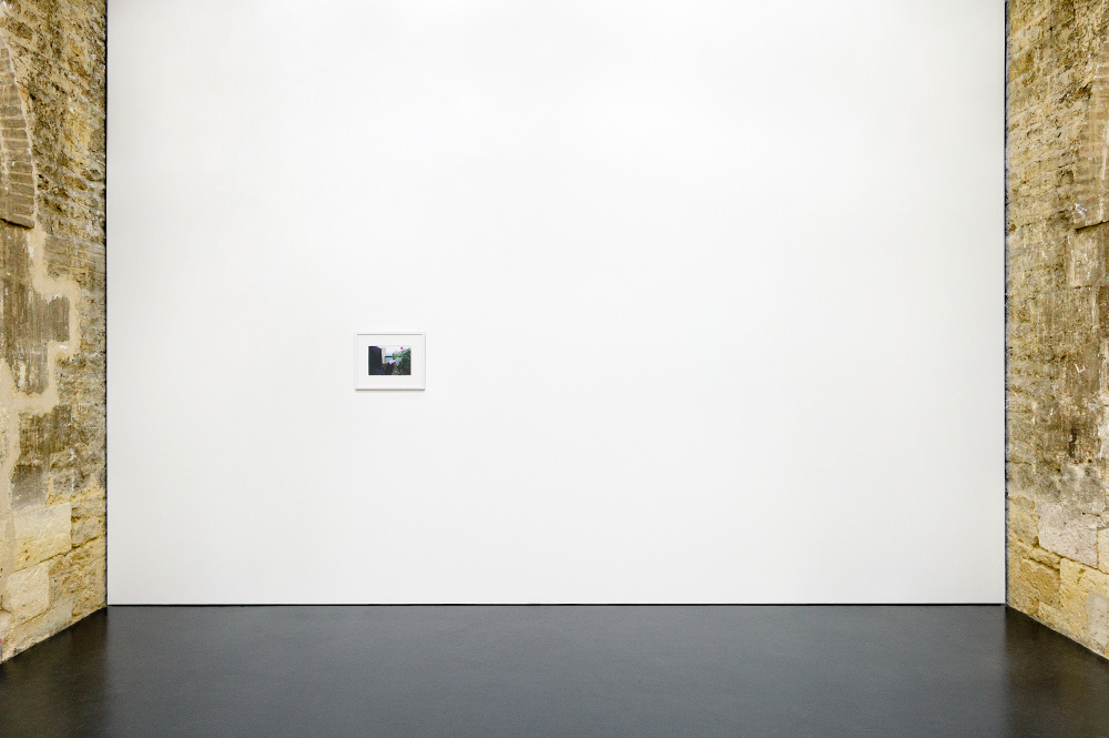 Pink Cloud, 2010