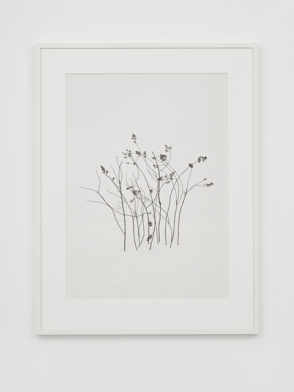 Untitled 8, 2014, digital fine art pigment print, Framed dims. 109.22 x 83.82 x 3.49 cm, Image dims. 85.6 x 61 cm
