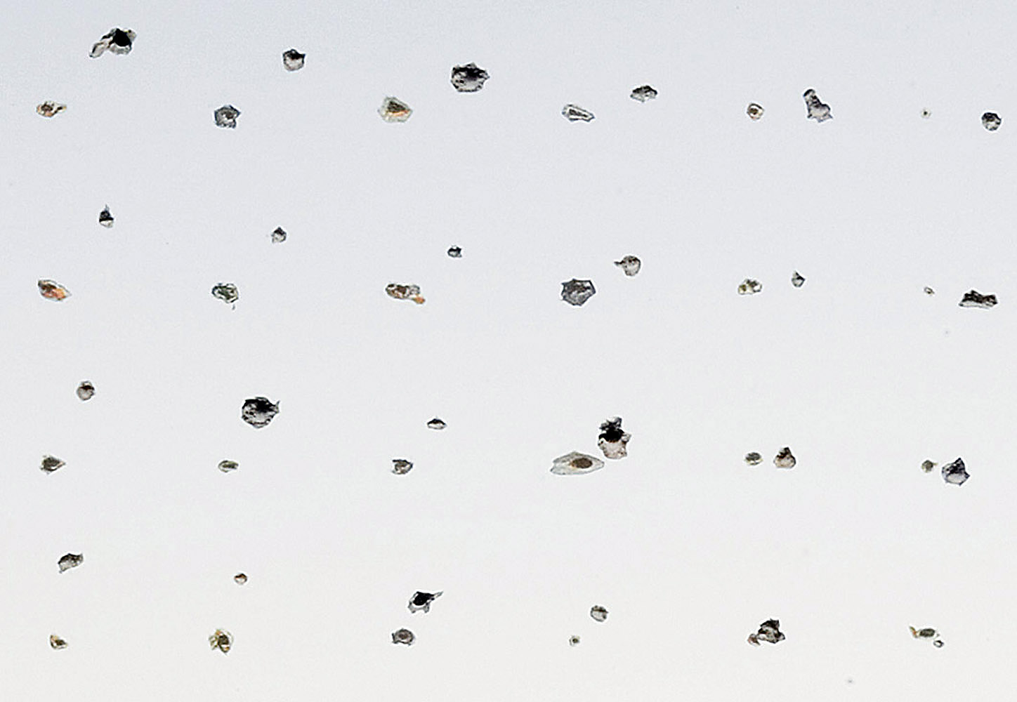 Loud, Clear (details), 2007, collage of newsprint on cardboard, 44 x 32 cm