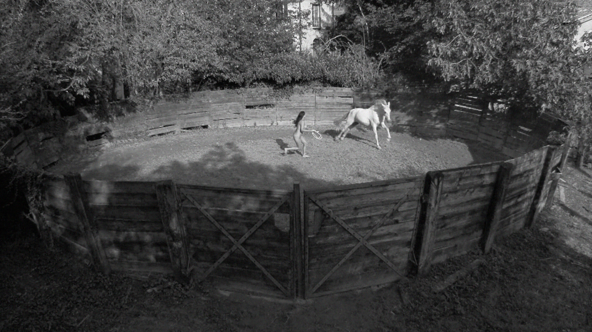 Inside the Circle, 2011/2012