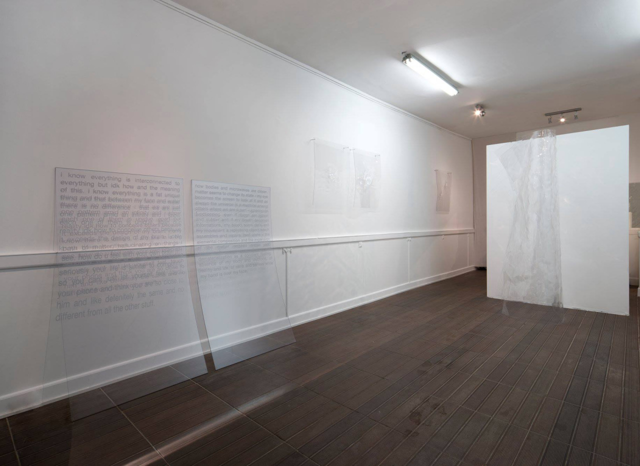 tbh I dunno if I have feelings, 2016. Exhibition view. Courtesy Ben Elliot & ARTAGŌN