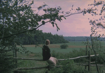Andrei Tarkovsky