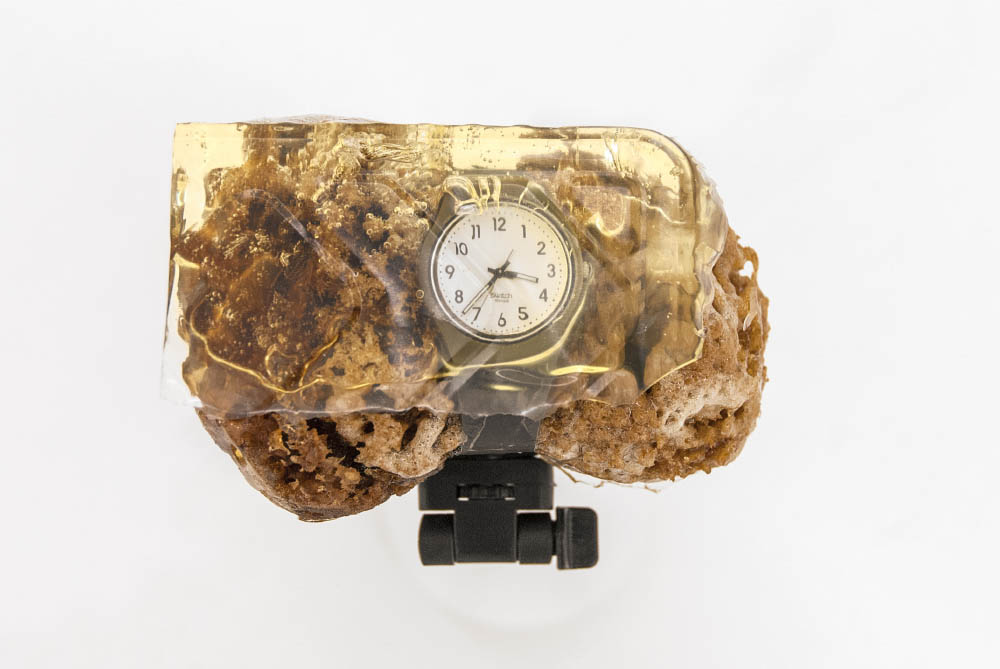 (Not yet titled), 2014, Resin on watch and sponge, on selfie stick, 80 x 20 x 12 cm