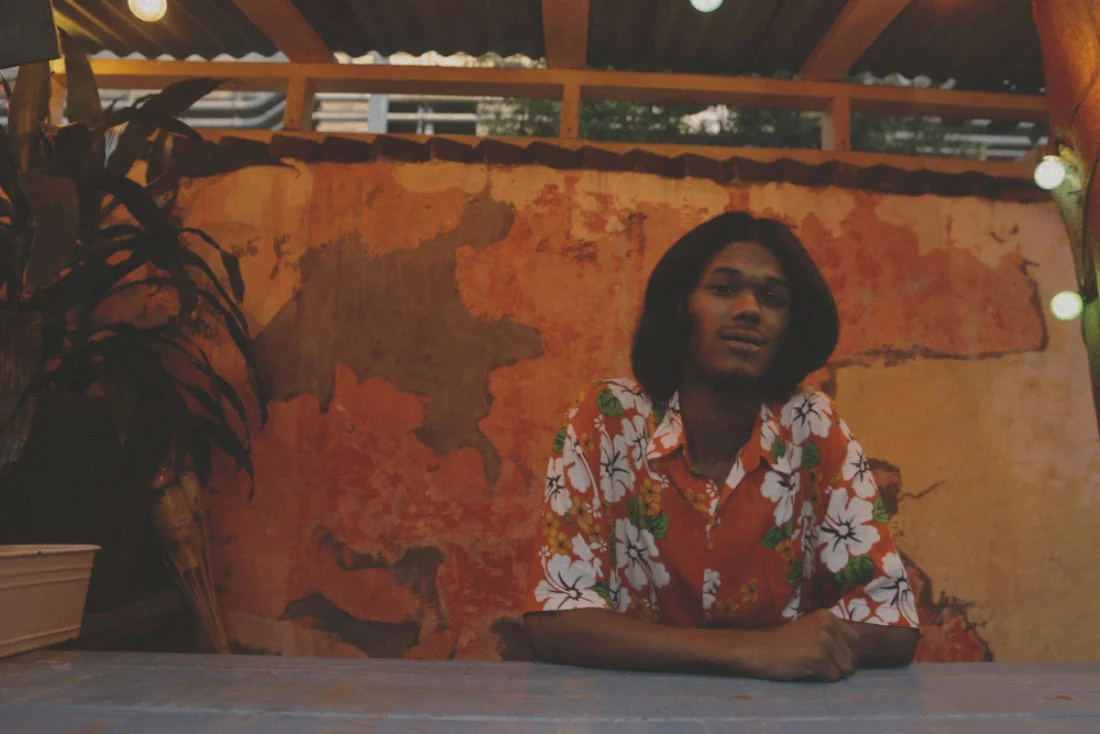 hawaiian shirt MODEL'S OWN