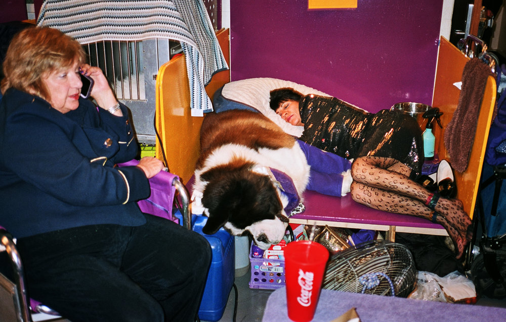 DogShow096.jpg