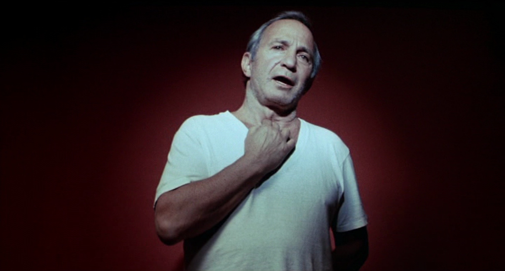 vincent-gallo-buffalo-66-171.jpg