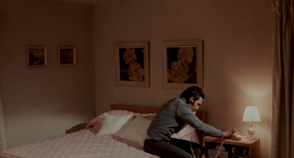 vincent-gallo-buffalo-66-211.jpg
