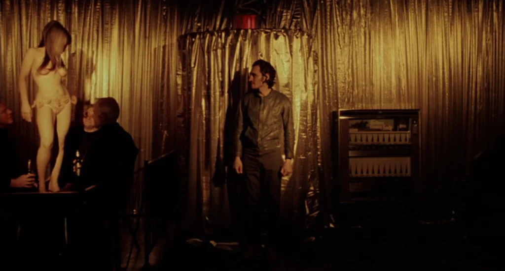 vincent-gallo-buffalo-66-481.jpg