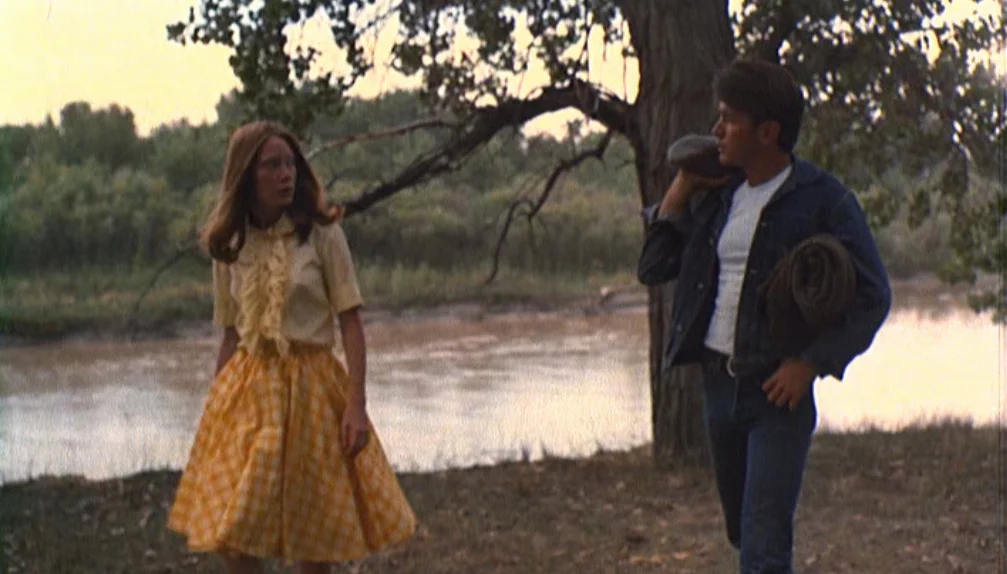Badlands-1973-02.jpg