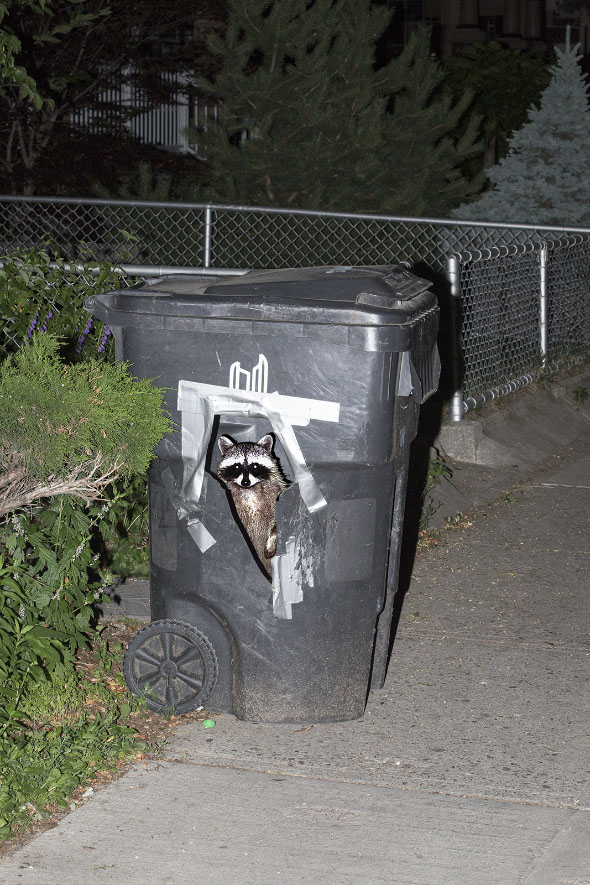 kyle-berger-05.jpg