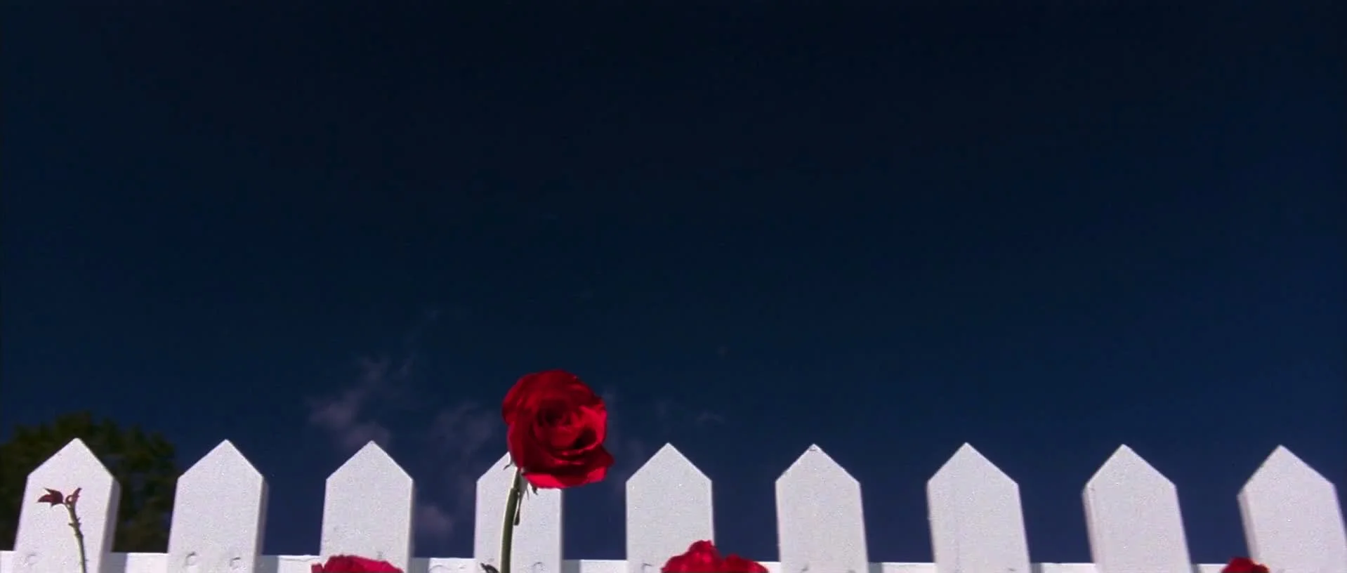 blue-velvet-1986-still-007.jpg