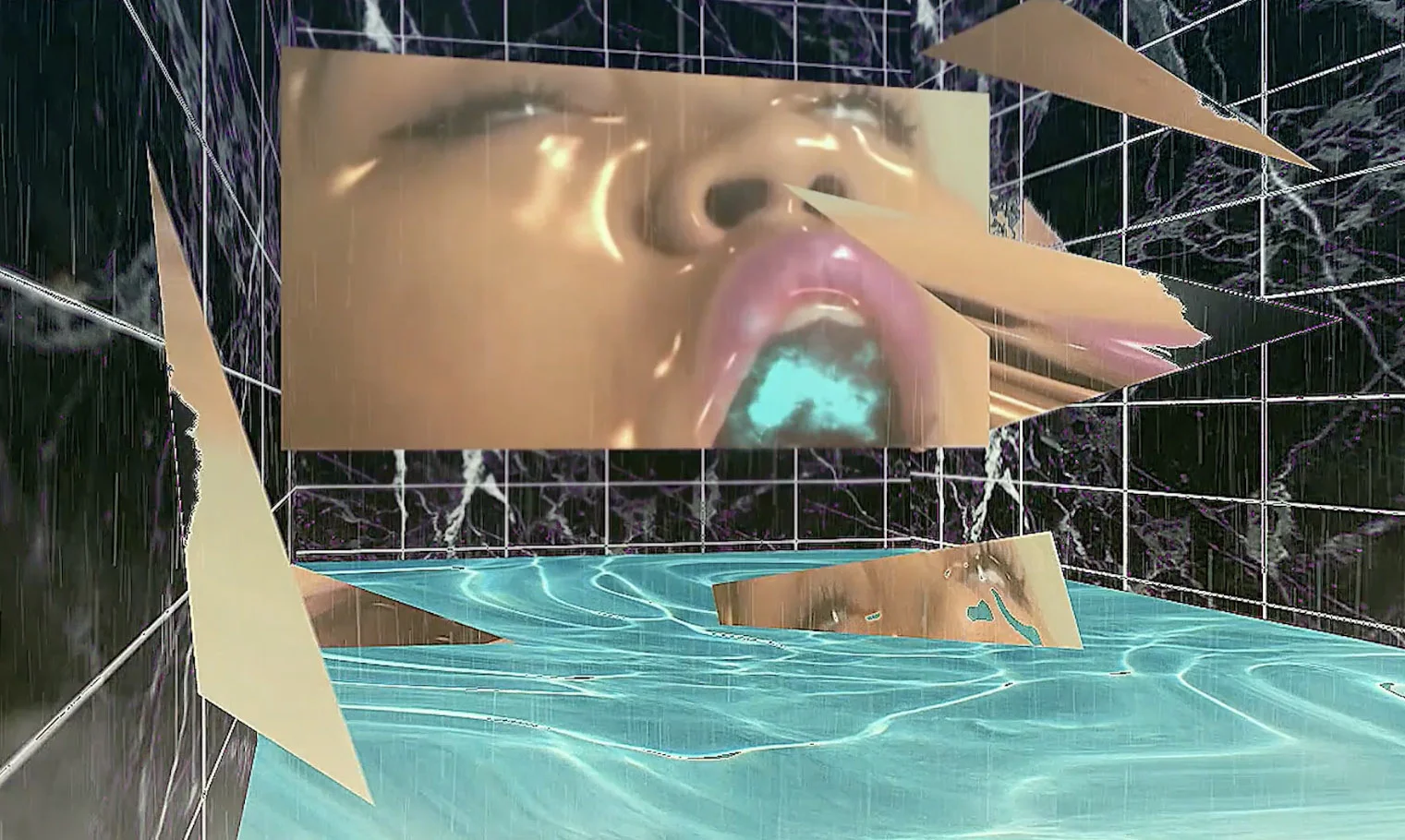 still from "leakyleakyselfiespa_cleanurself" 2017