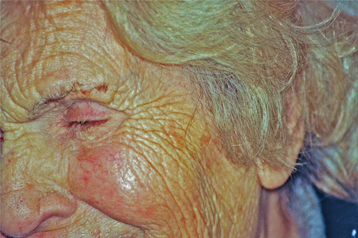 ludovica-de-santis-03.jpg