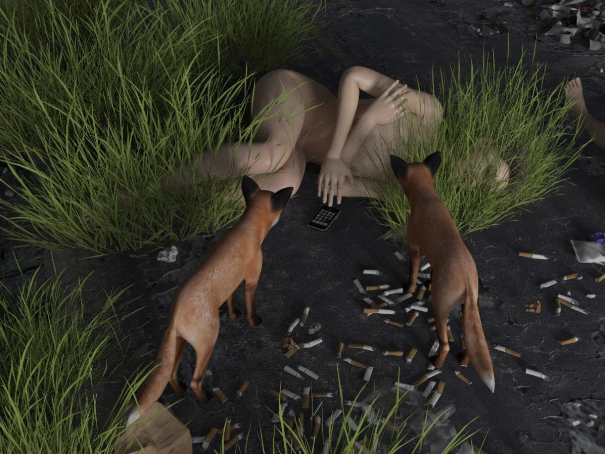 Roadkill 3d