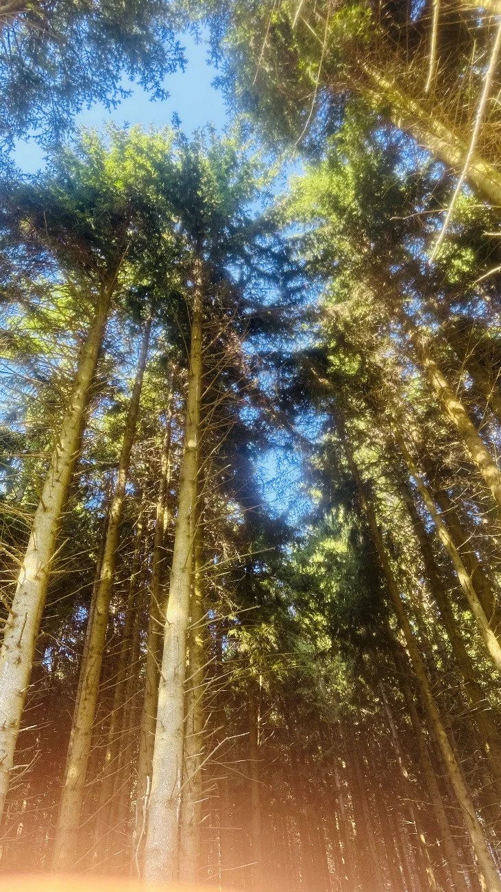 Feste Preziose: The greatest festival we've been