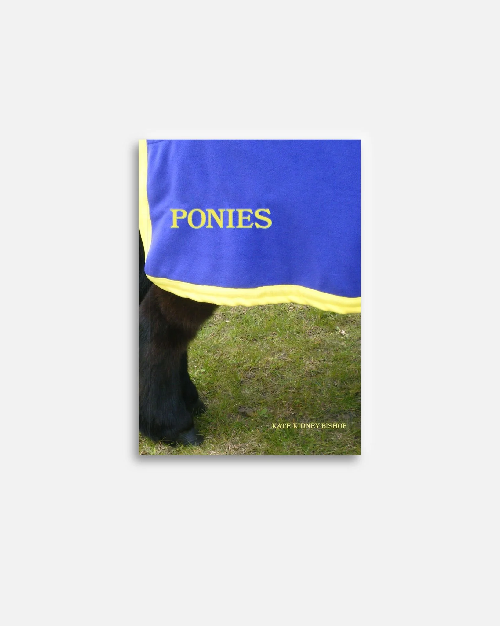 Ponies by Kate Kidney-Bishop at PhotoBook Cafe in London
