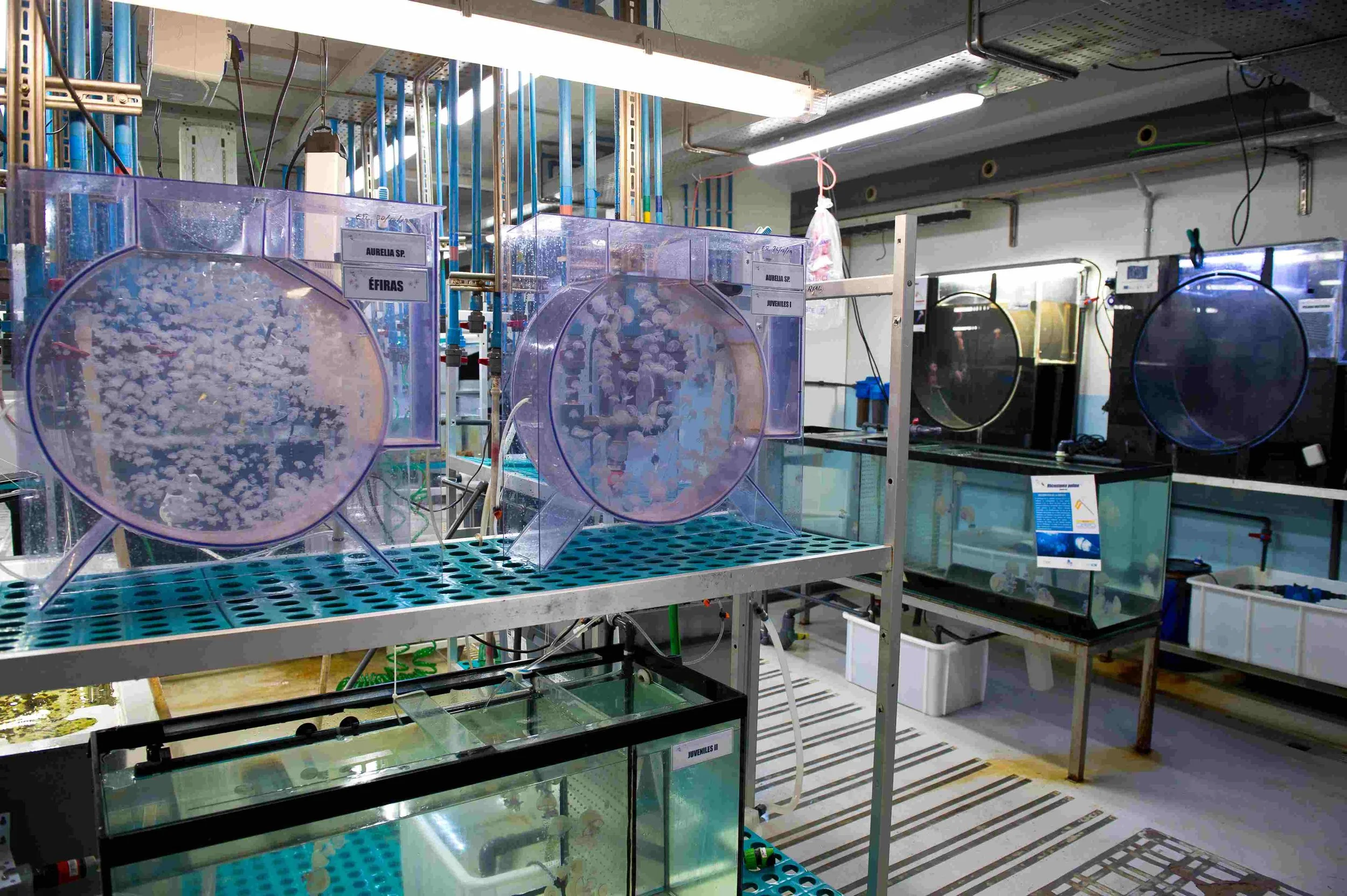 Platform Dalí: Art meets Science Research