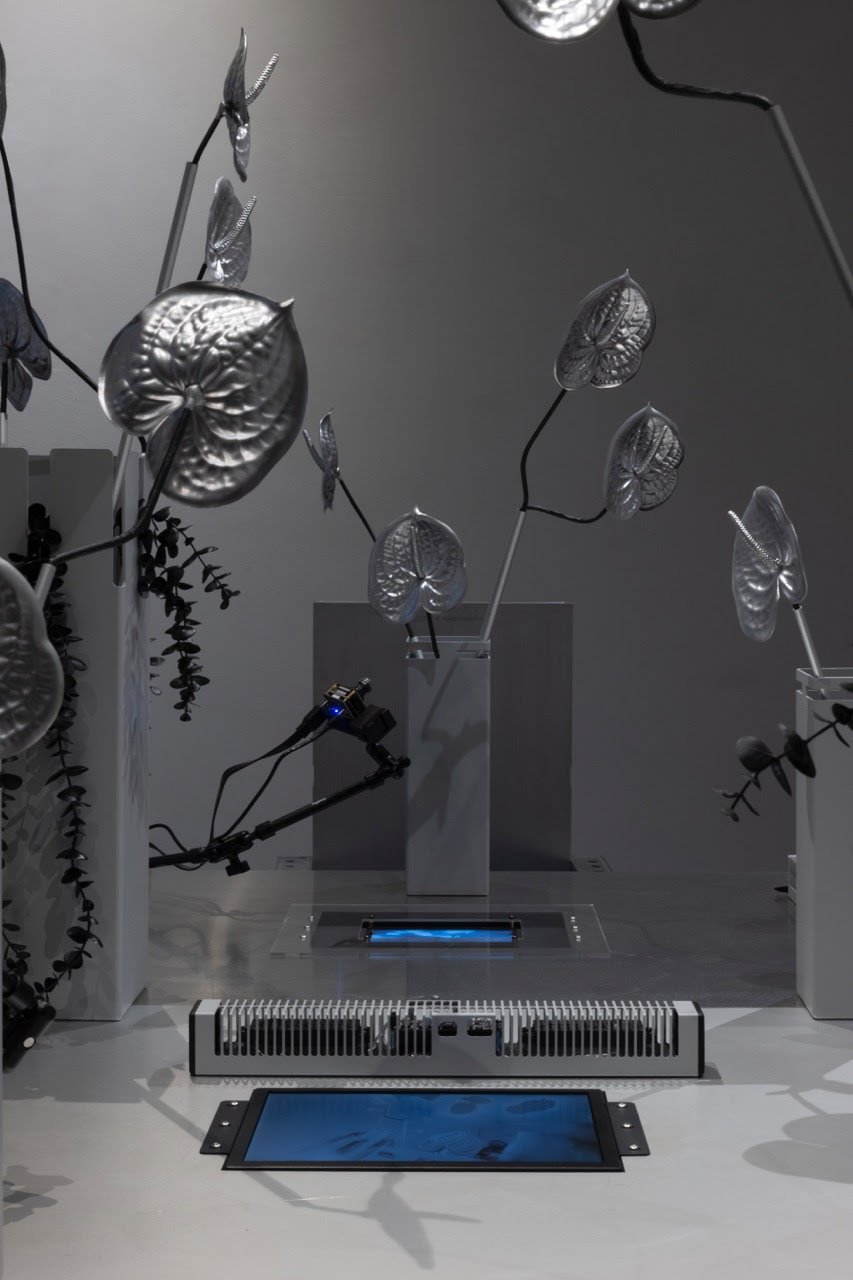 DI SALVO Presenting HDMI