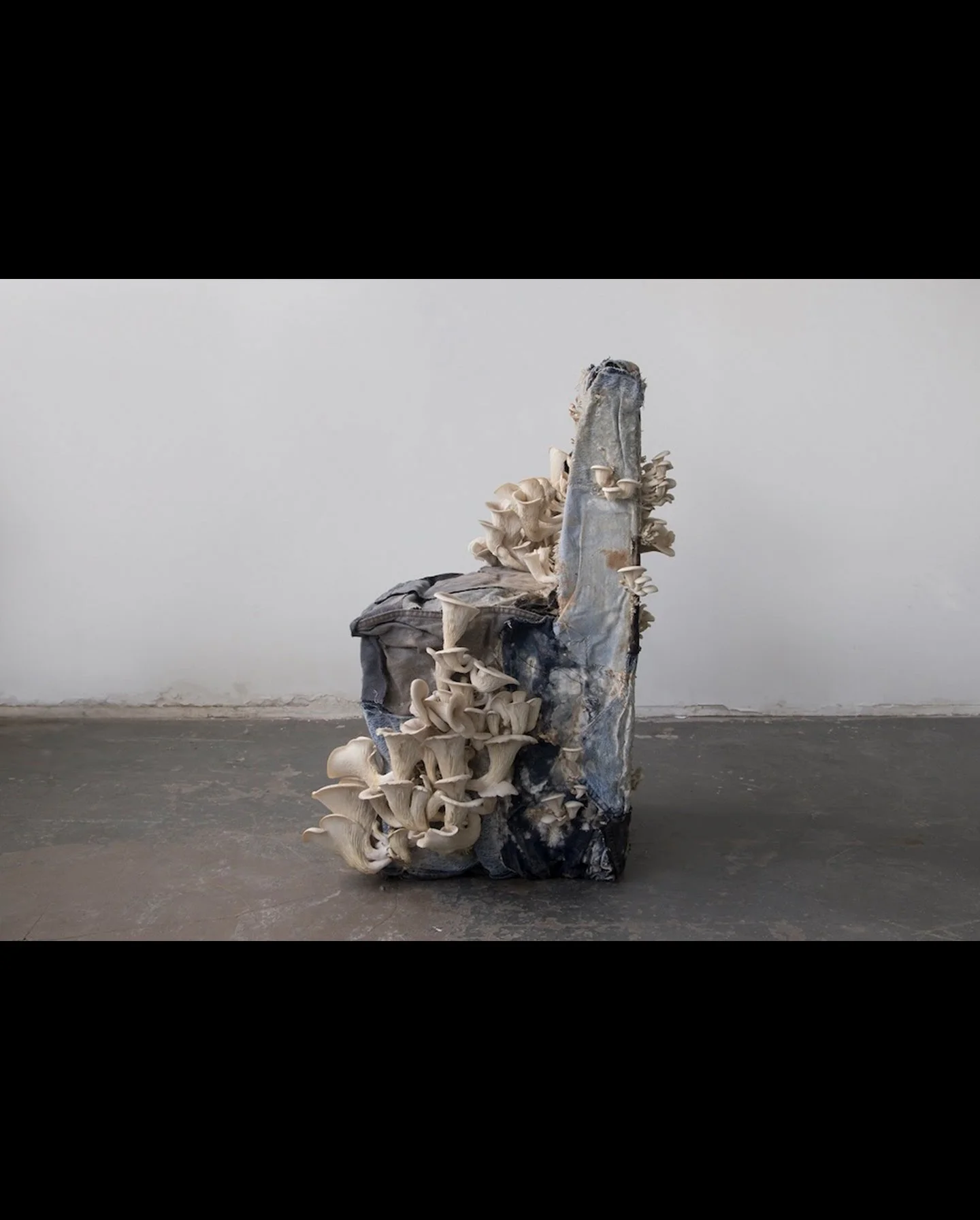 Artopia presents the exhibition Porous Kinship