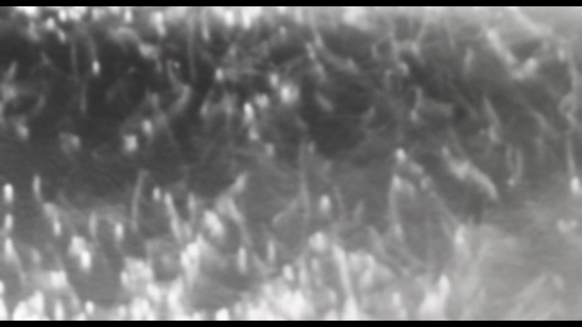 3 • 1920 x 1080 • 72 dpi.jpg