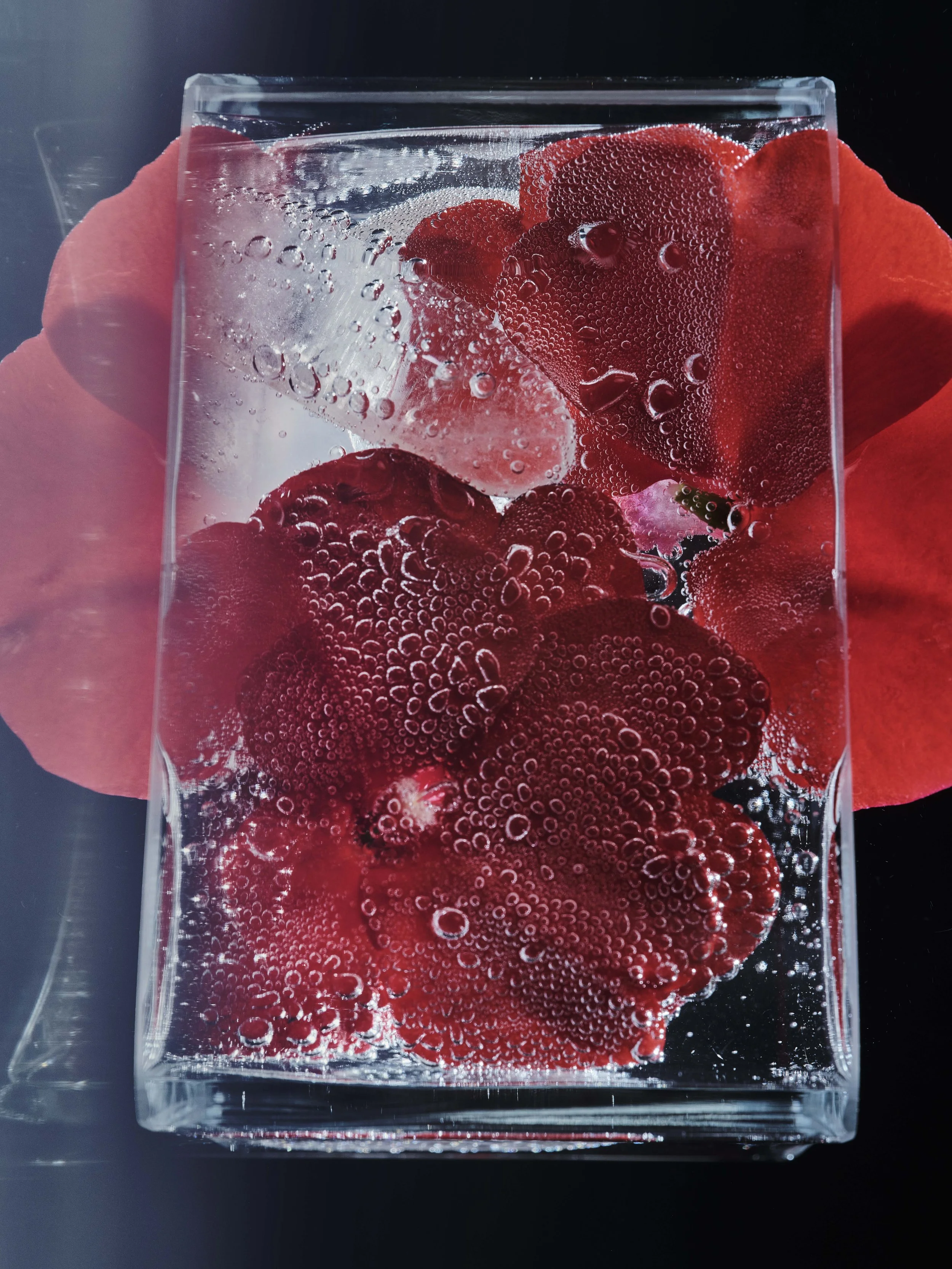03_PS_OLFACTORY SIGNALS .03_© Nacho Alegre.jpg