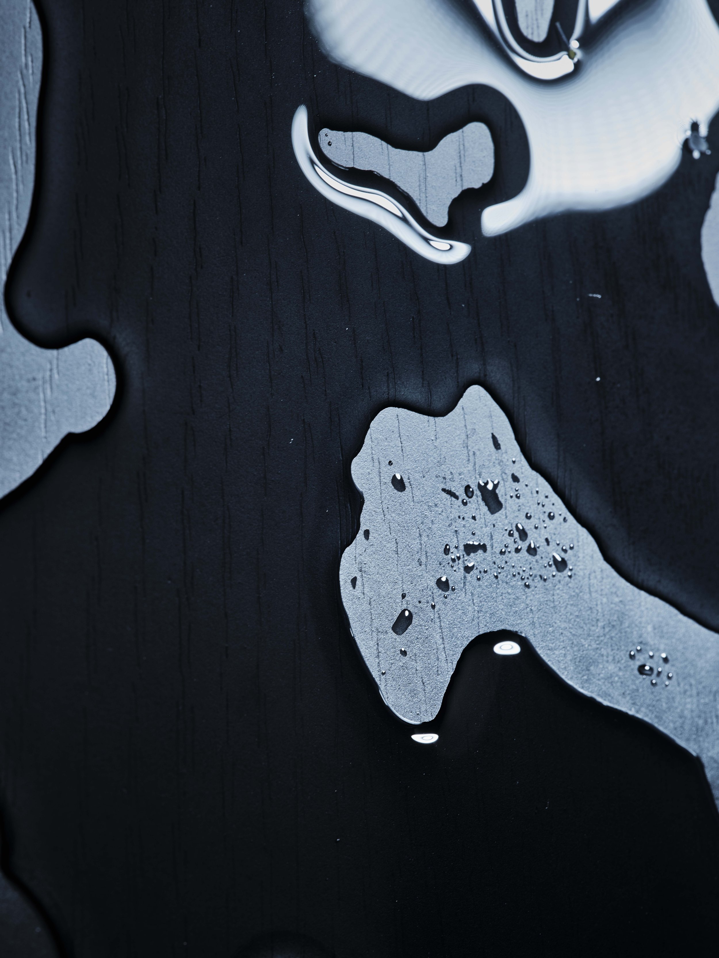 05_PS_OLFACTORY SIGNALS .03_© Nacho Alegre.jpg