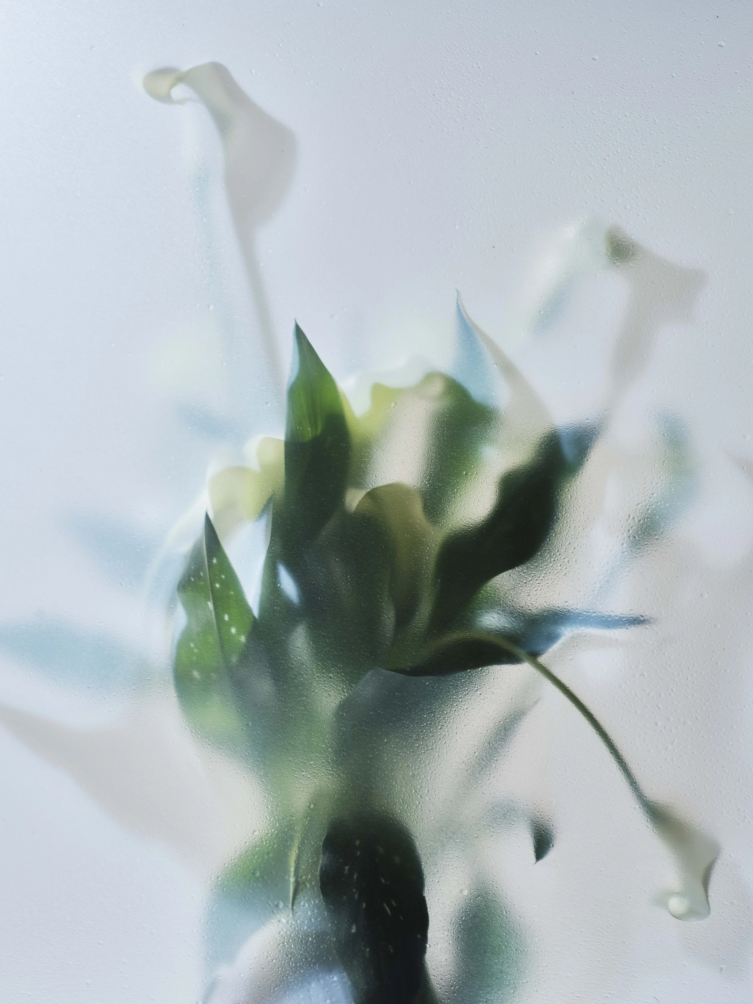 07_PS_OLFACTORY SIGNALS .03_© Nacho Alegre.jpg