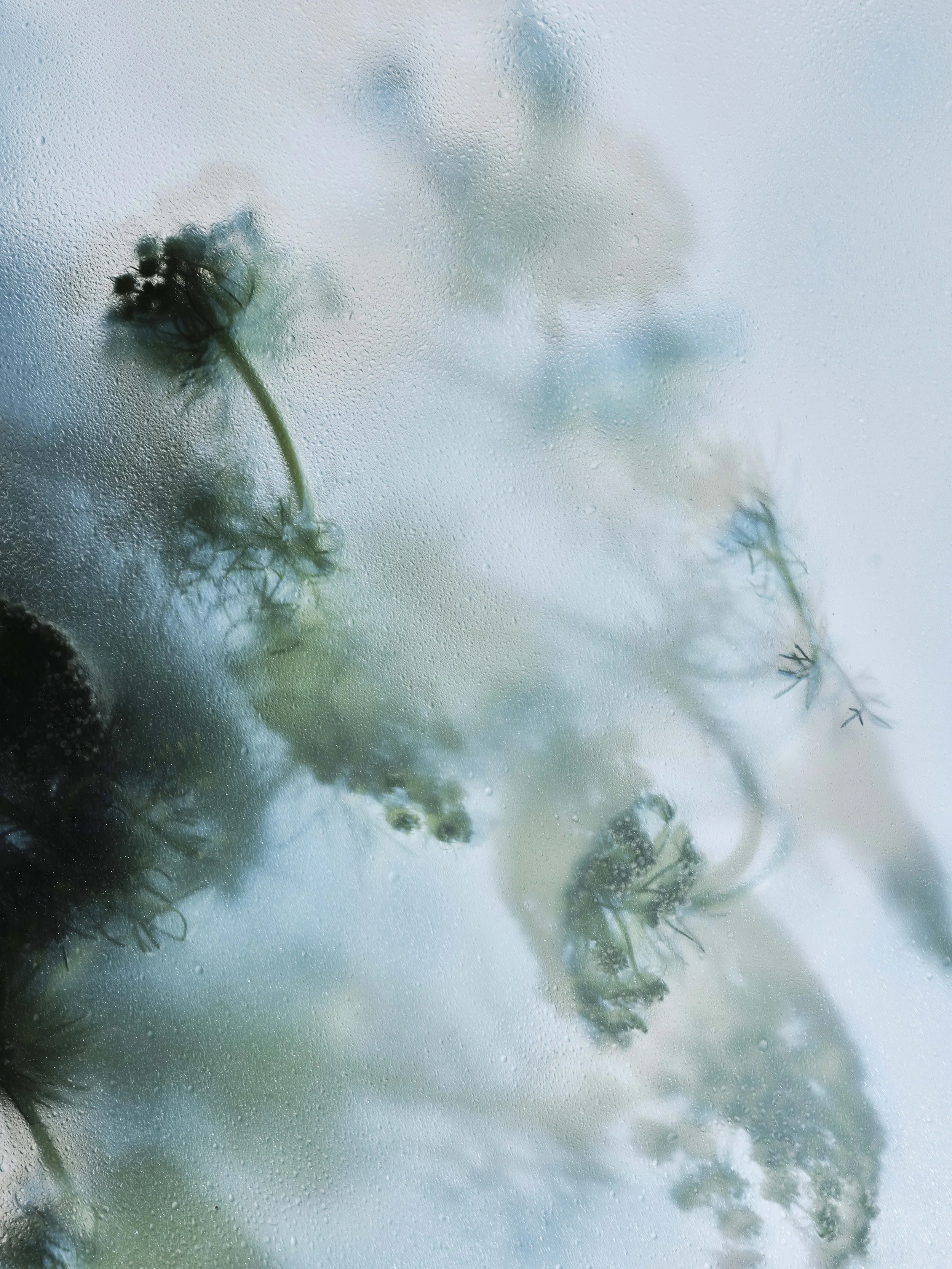 06_PS_OLFACTORY SIGNALS .03_© Nacho Alegre.jpg