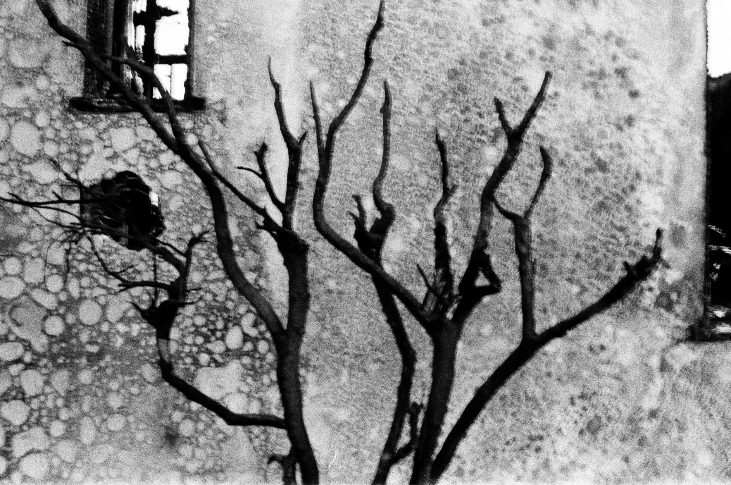 Federico Hurth